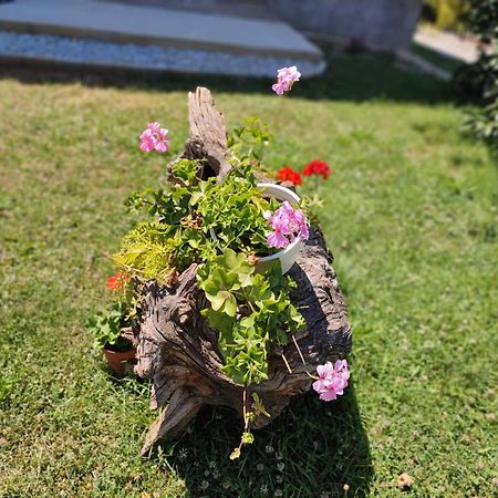 Villa Karolina オフリド エクステリア 写真