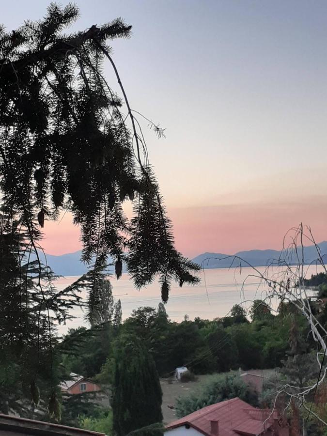 Villa Karolina オフリド エクステリア 写真